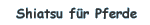 Shiatsu für Pferde